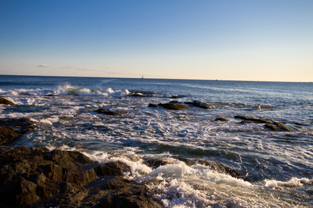 Enlarge photo 48