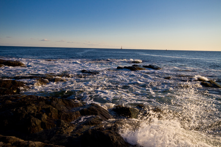 Enlarge photo 49