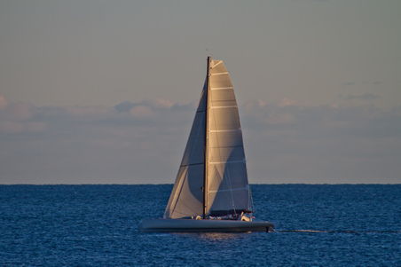 Enlarge photo 52