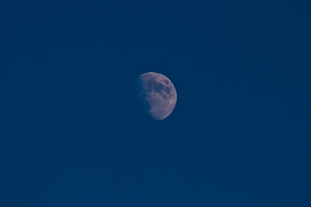Enlarge photo 55