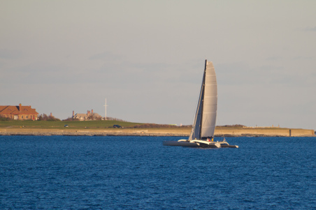 Enlarge photo 58