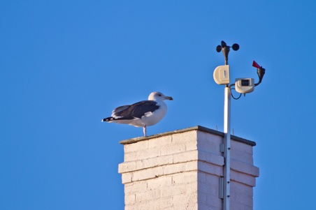 Enlarge photo 59