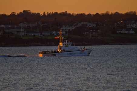 Enlarge photo 61