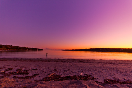 Enlarge photo 78
