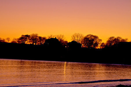 Enlarge photo 84