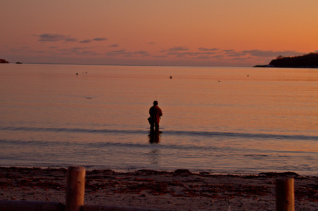 Enlarge photo 85