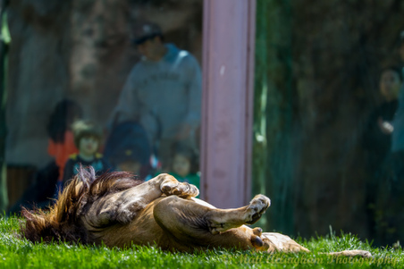 Enlarge photo 52