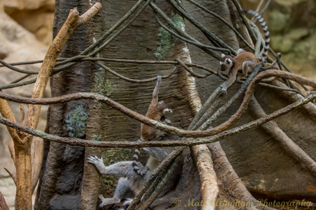 Enlarge photo 232