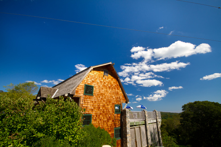 Enlarge photo 10