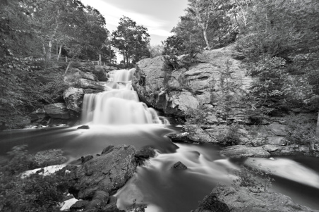 Enlarge photo 97