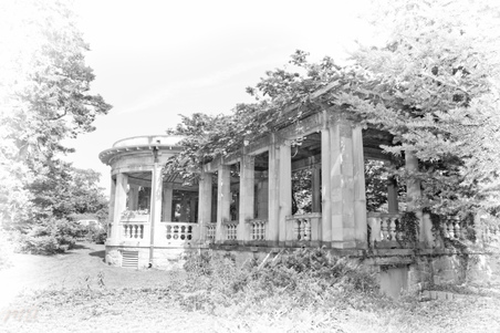 Enlarge photo 83