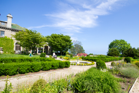 Enlarge photo 2
