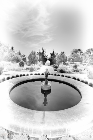 Enlarge photo 82