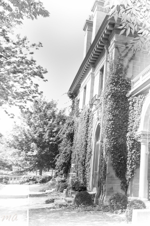 Enlarge photo 78