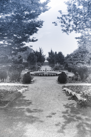 Enlarge photo 81