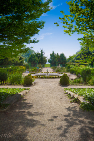 Enlarge photo 12