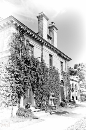 Enlarge photo 80