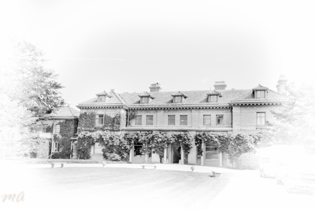 Enlarge photo 79