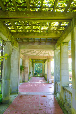 Enlarge photo 23