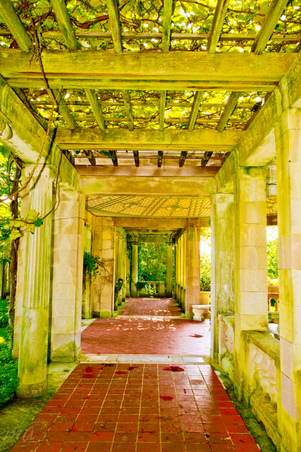 Enlarge photo 24