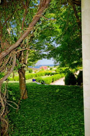 Enlarge photo 29