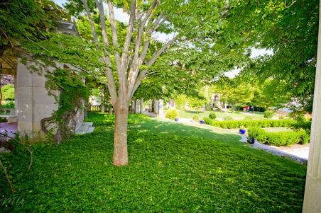 Enlarge photo 34