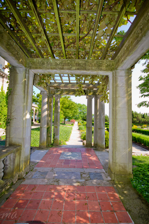 Enlarge photo 35