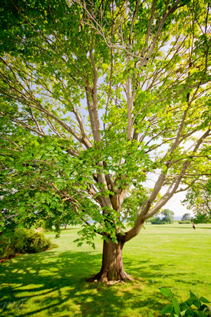 Enlarge photo 47