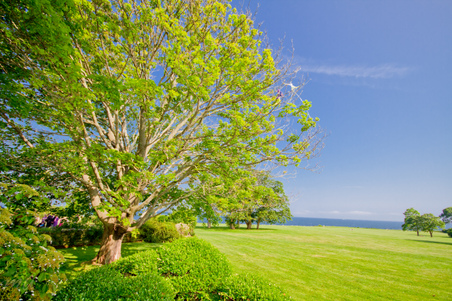 Enlarge photo 50