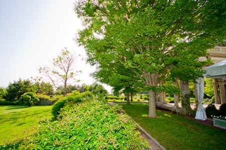 Enlarge photo 52
