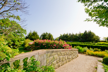 Enlarge photo 55