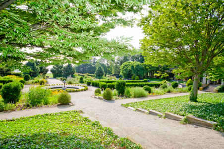 Enlarge photo 56