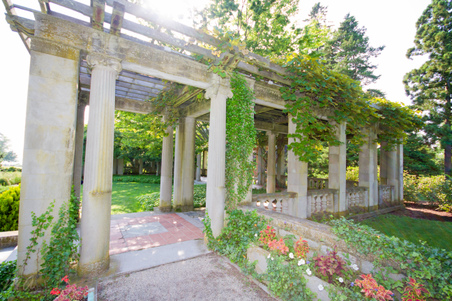 Enlarge photo 57