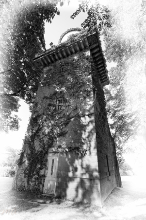 Enlarge photo 75