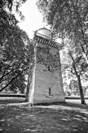 Enlarge photo 76