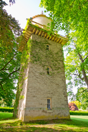 Enlarge photo 61