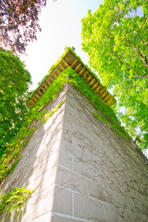 Enlarge photo 62