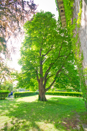 Enlarge photo 63