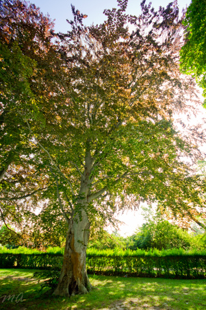 Enlarge photo 64