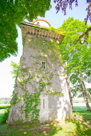 Enlarge photo 65