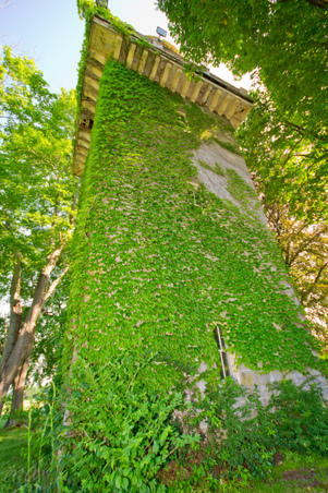 Enlarge photo 68
