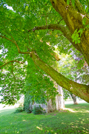 Enlarge photo 70