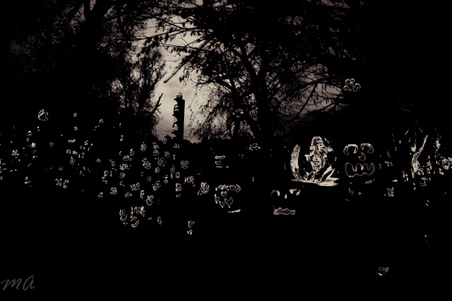 Enlarge photo 2