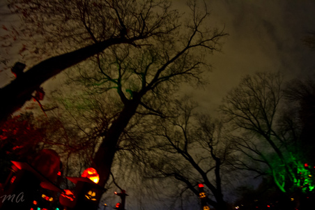 Enlarge photo 130