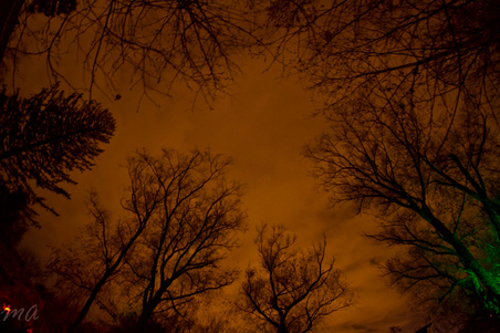 Enlarge photo 152