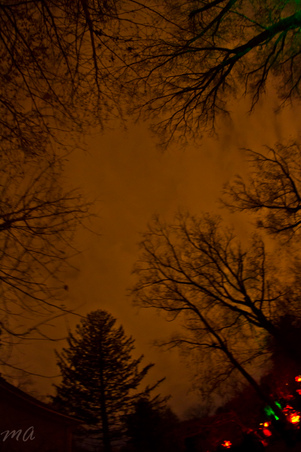 Enlarge photo 153