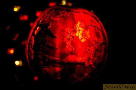 Enlarge photo 78