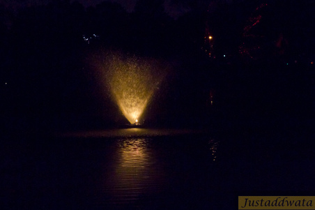 Enlarge photo 96