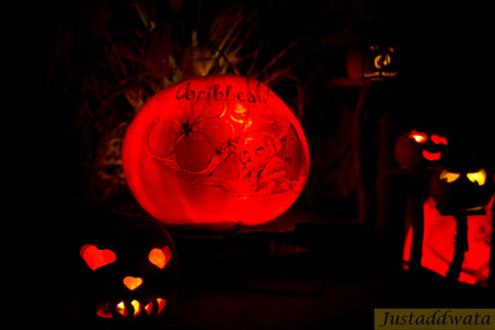 Enlarge photo 161