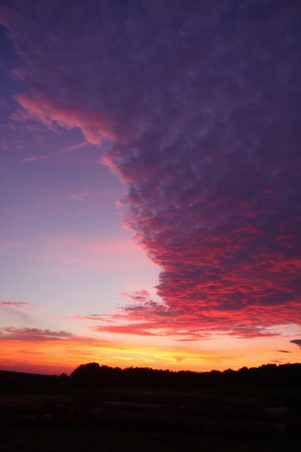 Enlarge photo 162